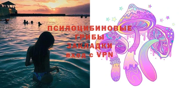 дмт Тихвин