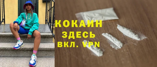 ECSTASY Богородицк