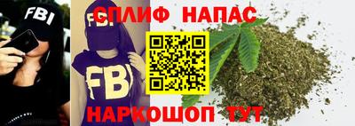 прущие грибы Азнакаево