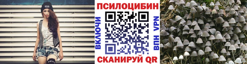 Псилоцибиновые грибы Cubensis  kraken ССЫЛКА  Ахтубинск  даркнет сайт 