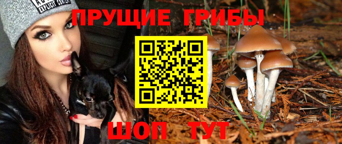 Псилоцибиновые грибы MAGIC MUSHROOMS Ахтубинск
