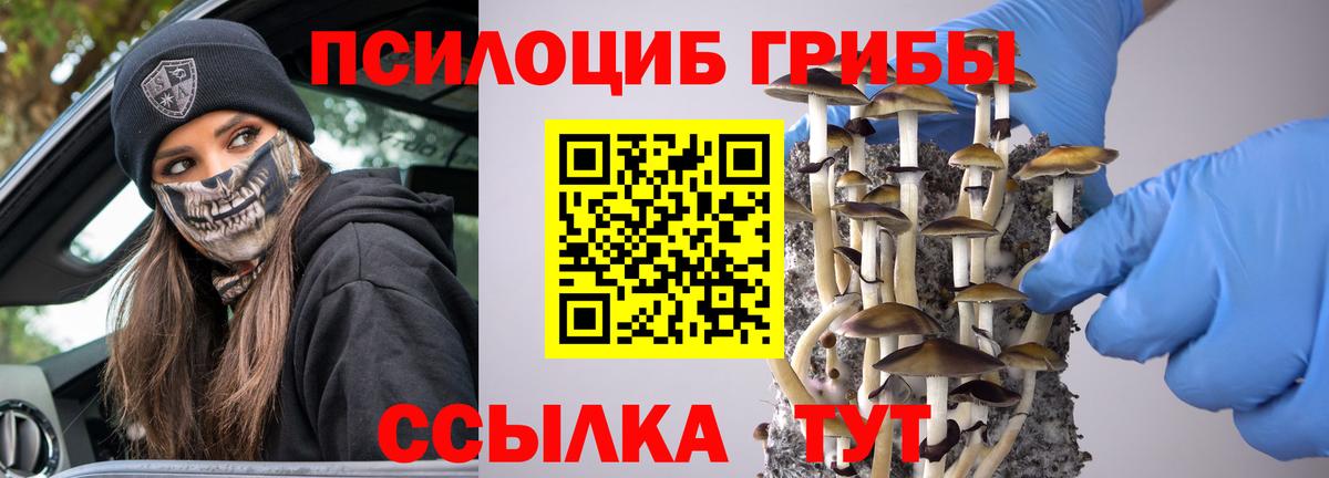 Галлюциногенные грибы мухоморы  Ахтубинск  Галлюциногенные грибы Psilocybe 